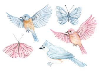 Birds, watercolor. Painted bird. Decor, decor set. Flight. Garden, nature. Butterfly. Natural elements for decor. Garden inhabitants.