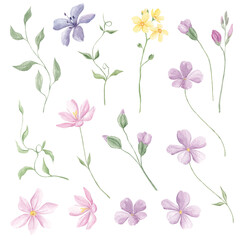 Forest Spring Florals, Meadow Clipart, Watercolor Birds, Butterflies, Garden Flowers, Baby Shower, Sublimation Elements, Tiny Flowers