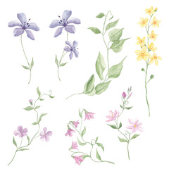 Forest Spring Florals, Meadow Clipart, Watercolor Birds, Butterflies, Garden Flowers, Baby Shower, Sublimation Elements, Tiny Flowers