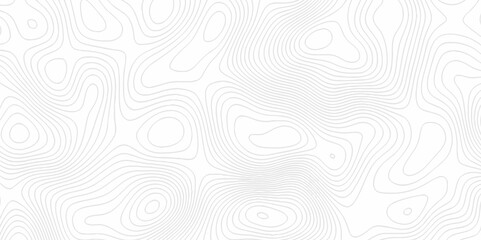 White topography topology vector white background fresh contour map texture. white seamless pattern Abstract background with a wave Topography and geography map grid abstract backdrop.