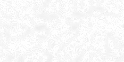 White topography topology vector white background fresh contour map texture. white seamless pattern Abstract background with a wave Topography and geography map grid abstract backdrop.