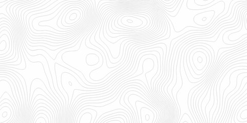 White topography topology vector white background fresh contour map texture. white seamless pattern Abstract background with a wave Topography and geography map grid abstract backdrop.