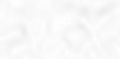 White topography topology vector white background fresh contour map texture. white seamless pattern Abstract background with a wave Topography and geography map grid abstract backdrop.