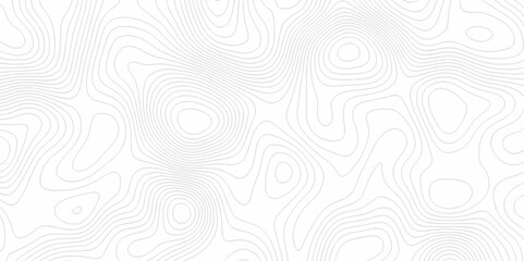 White topography topology vector white background fresh contour map texture. white seamless pattern Abstract background with a wave Topography and geography map grid abstract backdrop.