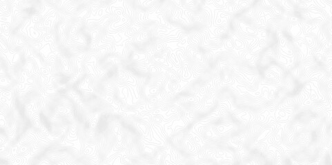 White topography topology vector white background fresh contour map texture. white seamless pattern Abstract background with a wave Topography and geography map grid abstract backdrop.