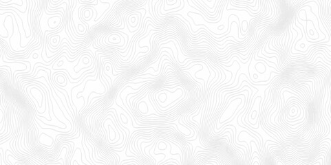 White topography topology vector white background fresh contour map texture. white seamless pattern Abstract background with a wave Topography and geography map grid abstract backdrop.