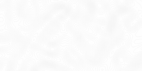White topography topology vector white background fresh contour map texture. white seamless pattern Abstract background with a wave Topography and geography map grid abstract backdrop.