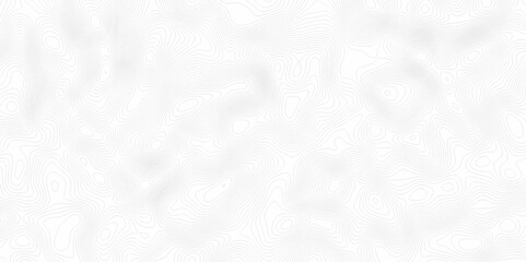 White topography topology vector white background fresh contour map texture. white seamless pattern Abstract background with a wave Topography and geography map grid abstract backdrop.
