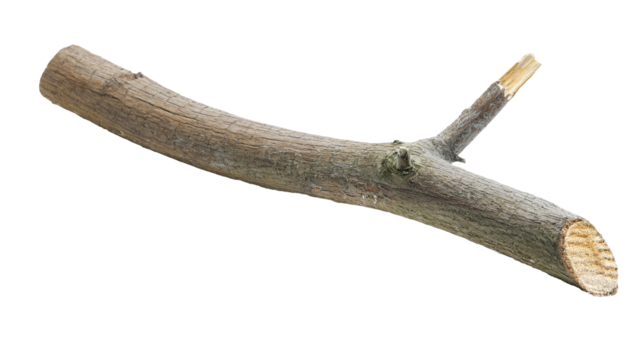 rough wooden broken tree branch with visible bark texture and sharp cut end, rustic nature element on isolated background
