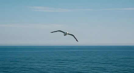 Fototapeta premium Seagull Flying Over Calm Ocean Under Clear Blue Sky