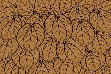 Set of leaves seamless pattern. Vector tropical background with leaves for decor, cover, wallpapers, card, backgrounds, fabric, textile, etc. Abstract lines leaves background 