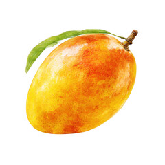 Close up of a single mango with a leaf against isolated on transparent background