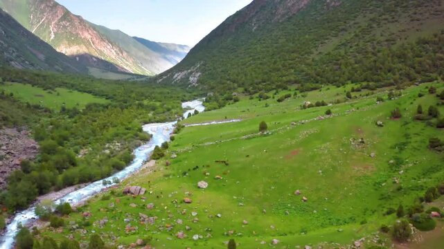 Drone video in 4K depicts a lush mountainous valley in Kyrgyzstan, likely the Alamedin Gorge, known for its hiking trails and natural terrain.