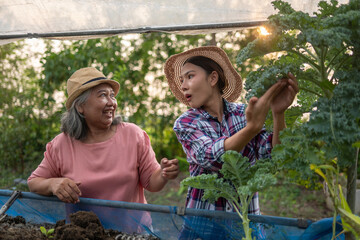 Elder Woman and Young farmer are joyfully interacting in lush garden,  inside greenhouse possibly...