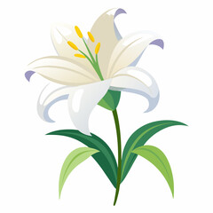 Fototapeta premium Easter Lily illustration with green leaves