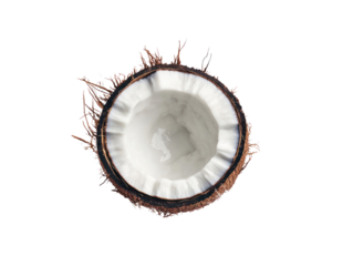 Coconut cutout background natural setting food photography minimalist viewpoint fresh ingredients concept