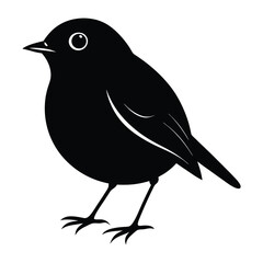 Robin bird silhouette.