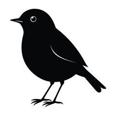 Robin bird silhouette.