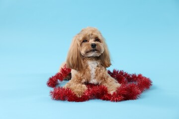 Cute dog with shiny tinsel on light blue background