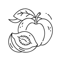peach icon, peach vector illustration-simple illustration of peach, perfect for peach logos and icons