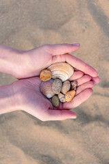 A handful of shells in beautiful woman hands. Beach treasures in hands on the background of beach sand.