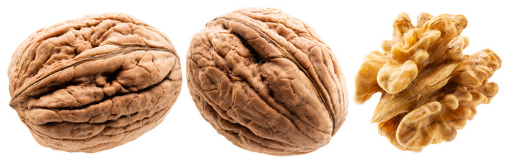 set of walnuts isolated on a white background