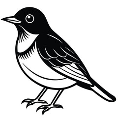 American Robin illustration flat vector design