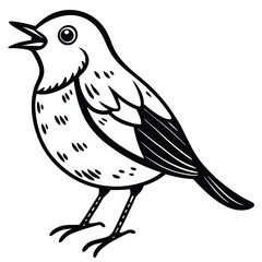 American Robin illustration flat vector design