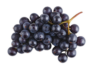 Fototapeta premium Fresh black grapes cutout background for creative design studio setting high-quality image close-up view