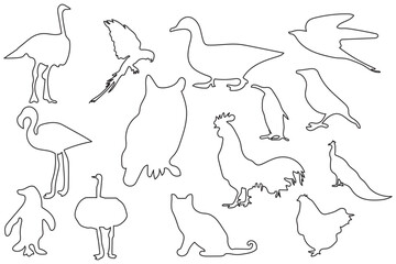 Bird silhouettes big collection designs