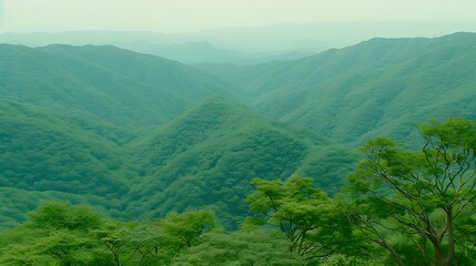 Obraz premium Lush green mountains and forest panorama in scenic and serene natural vista