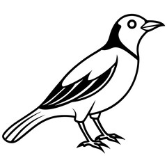 Fototapeta premium Black and White Line Art Illustration of a Bird.