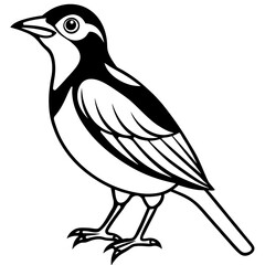 Black and White Line Art Illustration of a Bird.