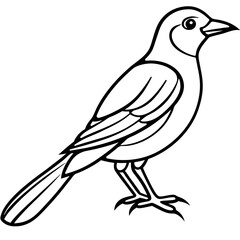 Black and White Line Art Illustration of a Bird.