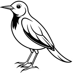 Black and White Line Art Illustration of a Bird.