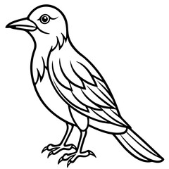 Black and White Line Art Illustration of a Bird.
