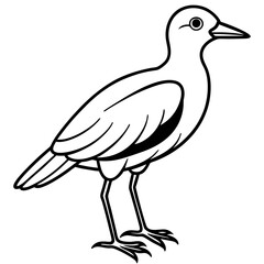 Black and White Line Art Illustration of a Bird.