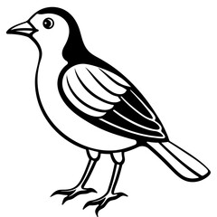 Black and White Line Art Illustration of a Bird.
