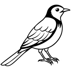 Black and White Line Art Illustration of a Bird.