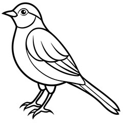 Black and White Line Art Illustration of a Bird.
