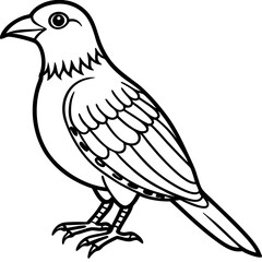 Black and White Line Art Illustration of a Bird.