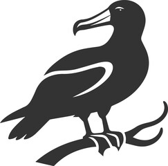 Albatross silhouette bird vector
