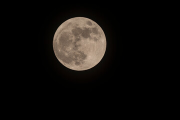 Pink full moon in Libra on April 13, 2025, glowing brightly in the night sky with detailed surface features visible.