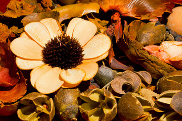 Composition of dried flowers and fruits with warm tones