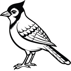 Obraz premium Blue Jay illustration flat vector design