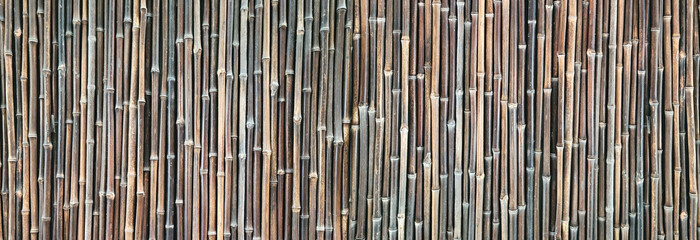 Bamboo cane fence, natural and exotic texture