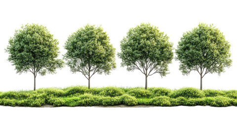 Green Park Landscape isolated on transparent background