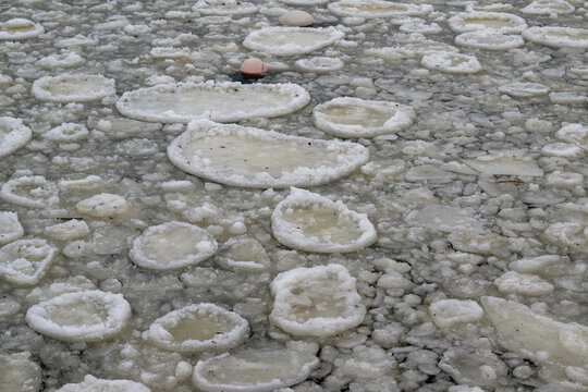 A large ice surface with odd-shaped cracks or frazil ice in a harbor. The cold winter temperatures have formed pan-shaped formations, rotational shears or ice discs. The joins are crystal frost spots.