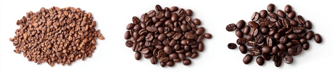 Coffee Beans in Different Stages of Roasting