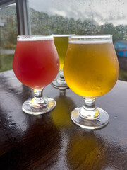Multiple tulip-shaped clear beer glasses filled with various lager ales. A red sour, IPA, and a pilsner fill the glasses.  The sample craft beers are cold with froth on top of the liquids.